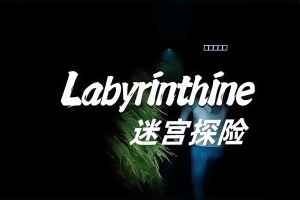 迷宫探险/Labyrinthine