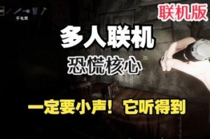 恐慌核心/PANICORE/支持网络联机