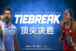 顶尖决胜/TIEBREAK: Official game of the ATP and WTA