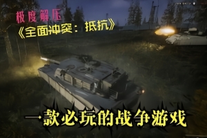 全面冲突：抵抗/Total Conflict: Resistance