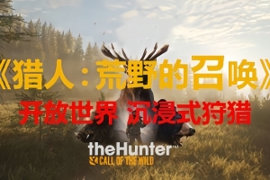 猎人：野性的呼唤/猎人：荒野的呼唤/theHunter: Call of the Wild