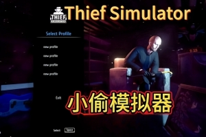 盗贼模拟器2/小偷模拟器2/Thief Simulator 2