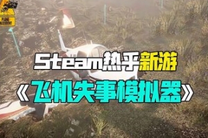飞机失事模拟器/Plane Accident