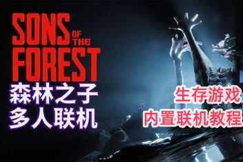 森林之子/Sons Of The Forest/支持网络联机