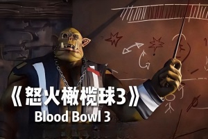 怒火橄榄球3/Blood Bowl 3
