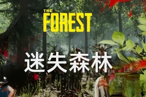 迷失森林/The Forest