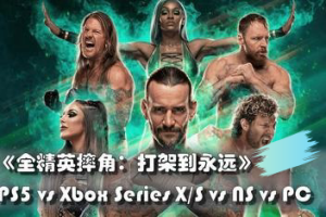 全精英摔角：永远的战斗/AEW: Fight Forever