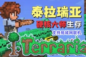 泰拉瑞亚/Terraria （支持局域网联机）